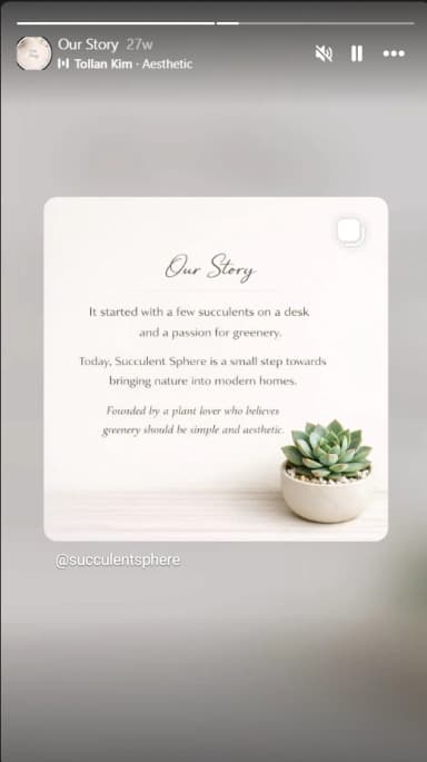 Succulent plant inspiration from Instagram post 6